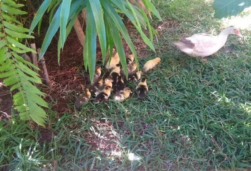 هتل Coucher De Soleil