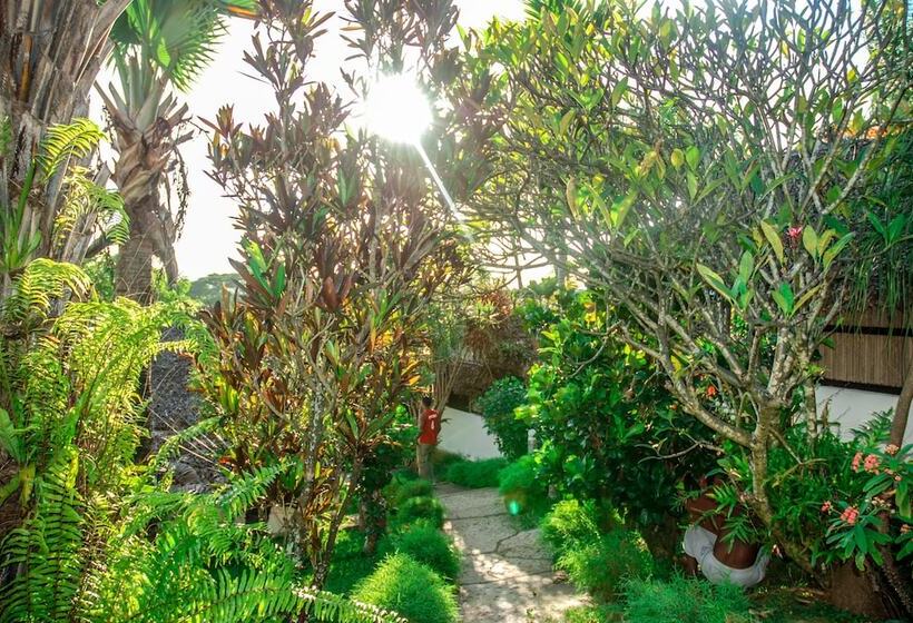 هتل Coucher De Soleil