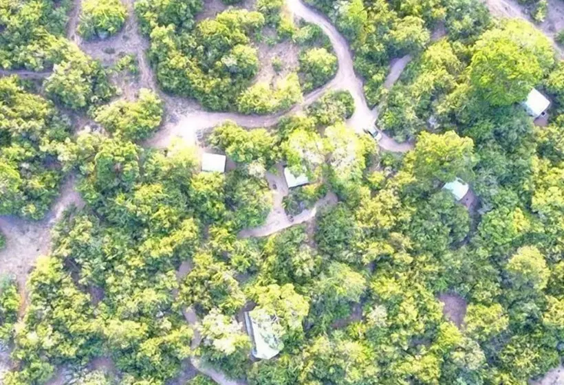 هتل Wilderness Camping Yala
