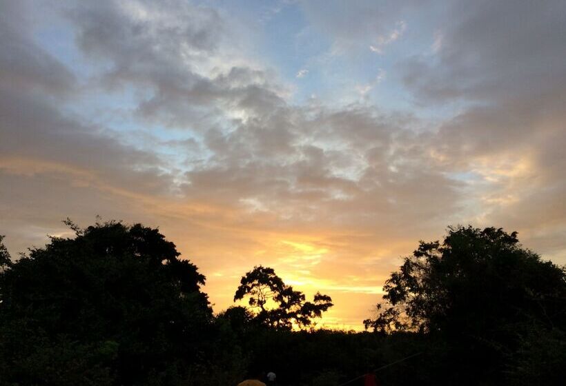 Hotel Wilderness Camping Yala