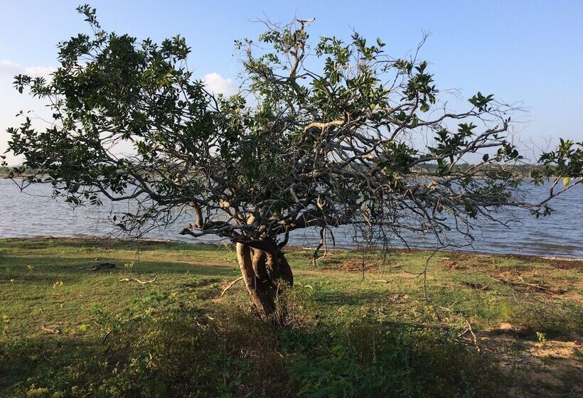 Hotel Wilderness Camping Yala