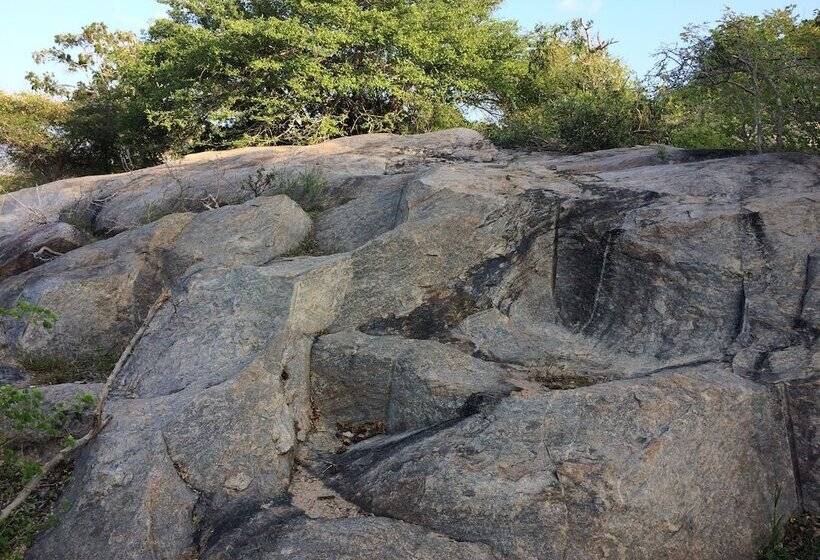 Hotel Wilderness Camping Yala