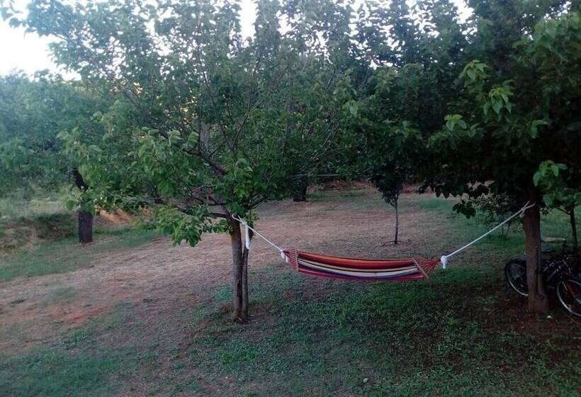 پانسیون Villa Sandra