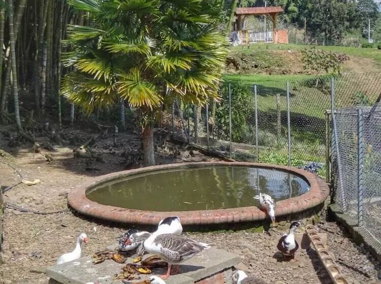 Hotelli Finca Turística Los Rosales