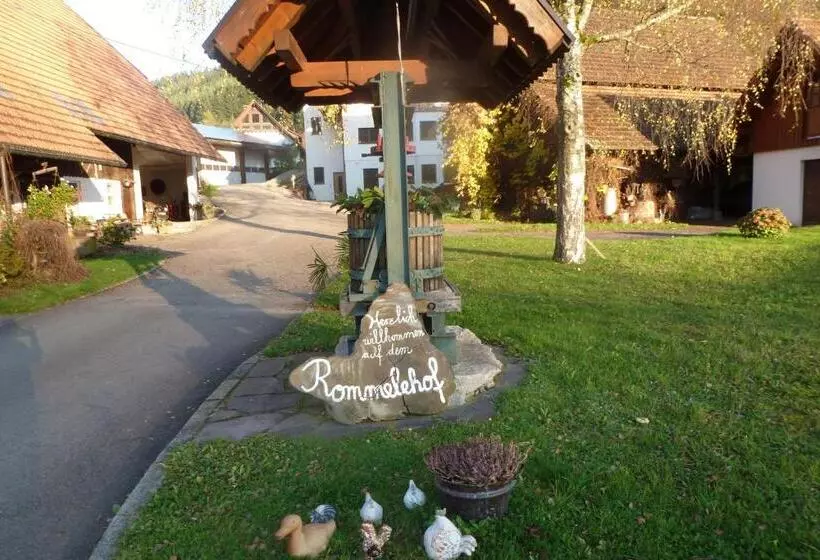 هتل Rommelehof