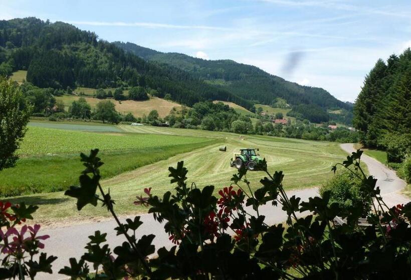 בית מלון כפרי Rommelehof