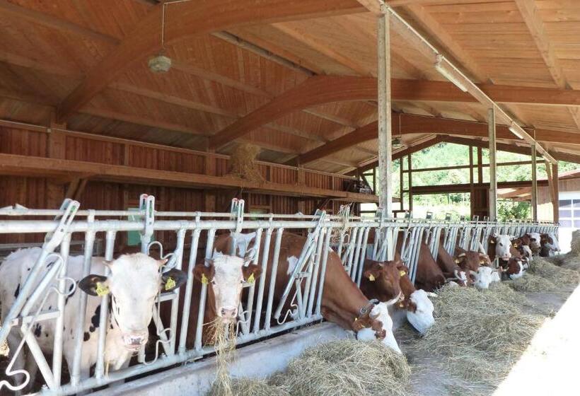 בית מלון כפרי Rommelehof