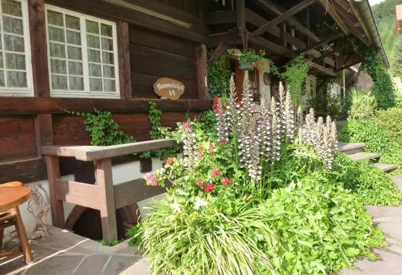 هتل Rommelehof