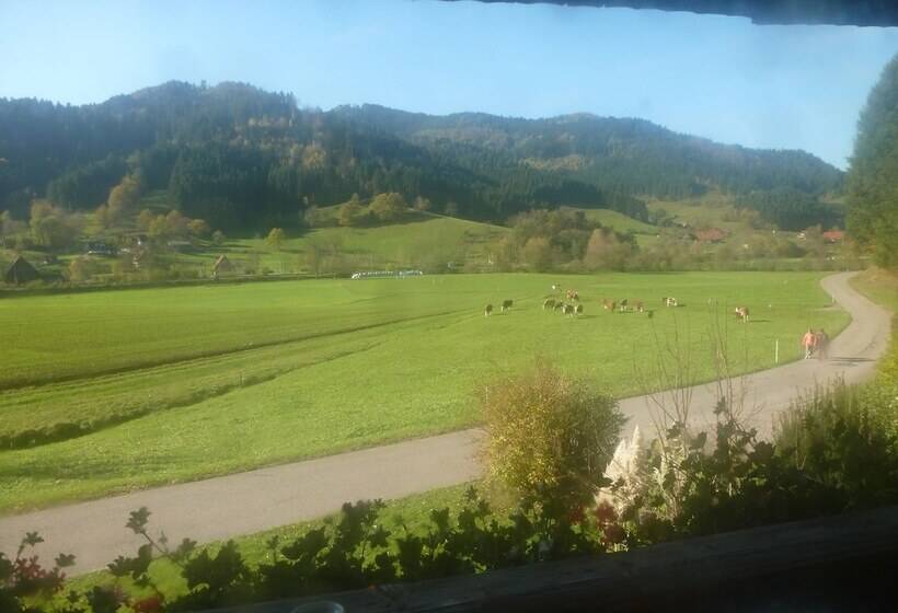 בית מלון כפרי Rommelehof