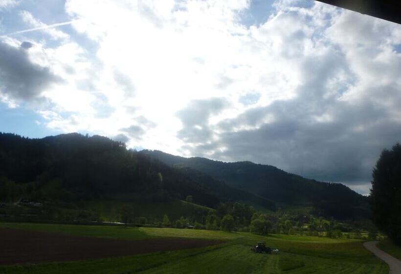 בית מלון כפרי Rommelehof