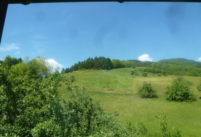 בית מלון כפרי Rommelehof