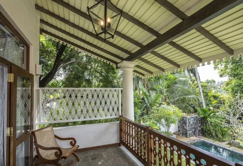 بنسيون Bilin Tree House