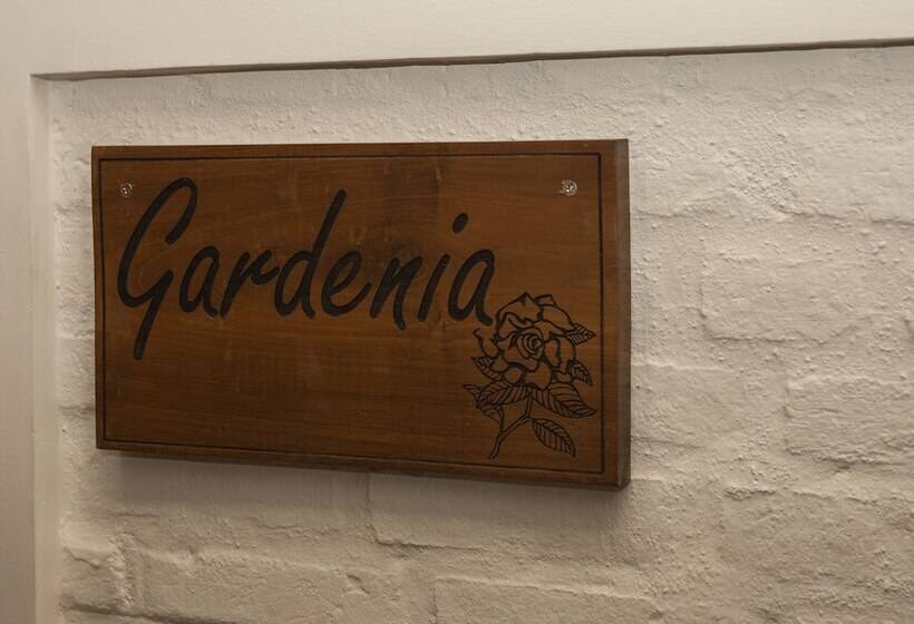 بنسيون Bilin Tree House