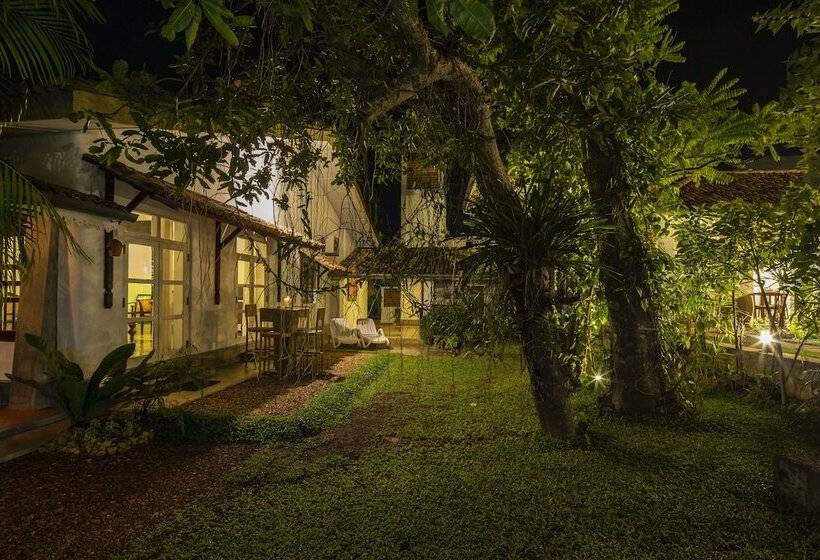 بنسيون Bilin Tree House