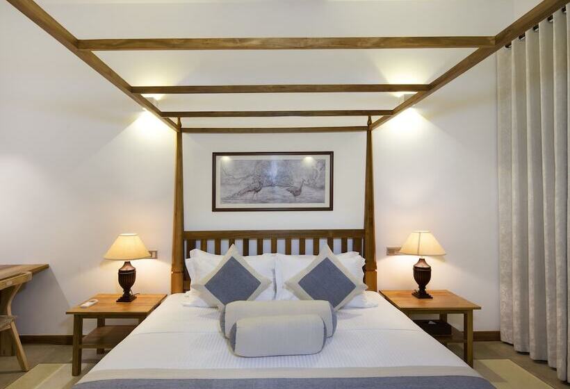 بنسيون Bilin Tree House