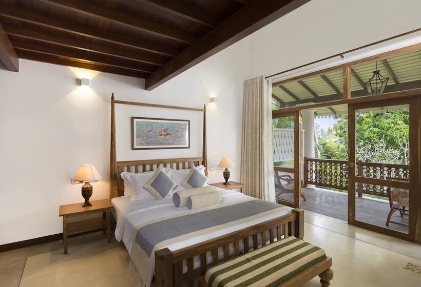 بنسيون Bilin Tree House