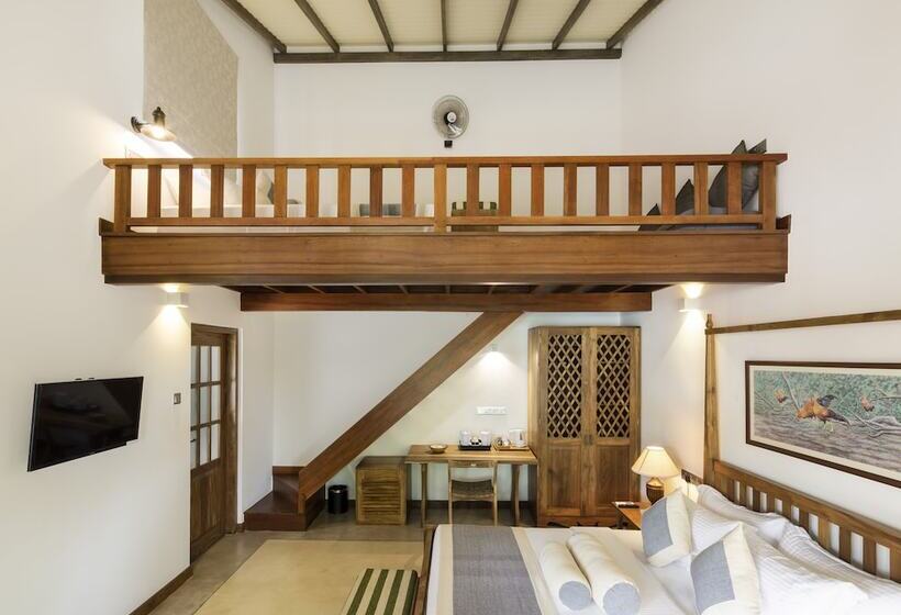 بنسيون Bilin Tree House