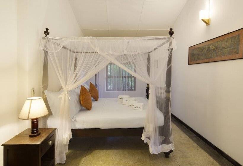 بنسيون Bilin Tree House