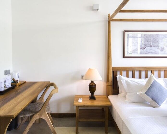 بنسيون Bilin Tree House