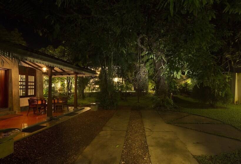 بنسيون Bilin Tree House