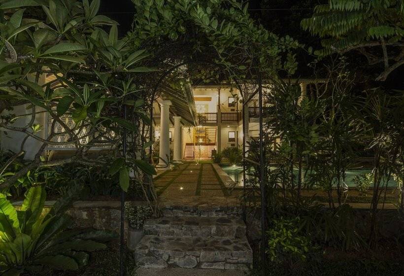 بنسيون Bilin Tree House