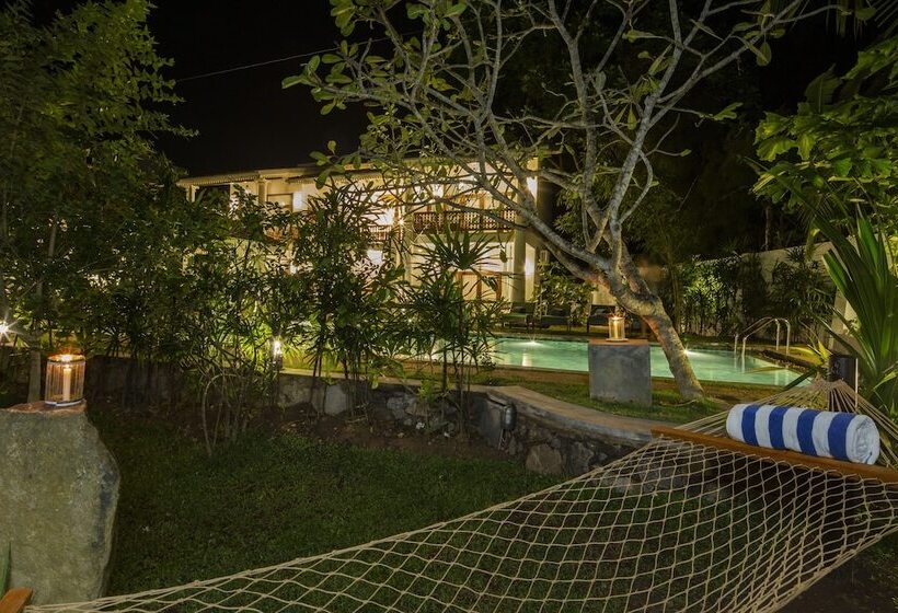 بنسيون Bilin Tree House