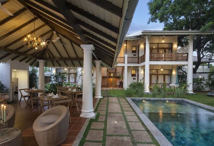 بنسيون Bilin Tree House