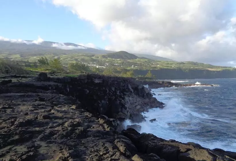 پانسیون L Arbre De Vie