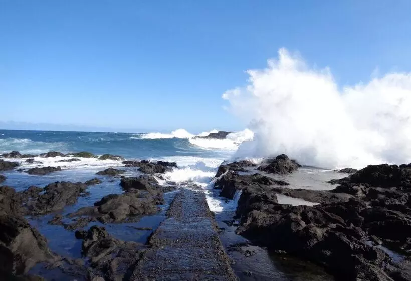 پانسیون L Arbre De Vie