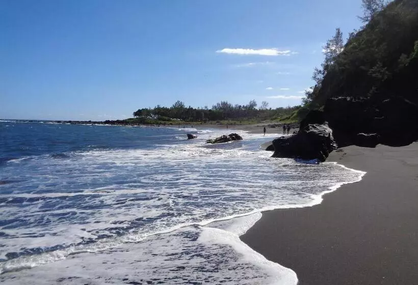 پانسیون L Arbre De Vie