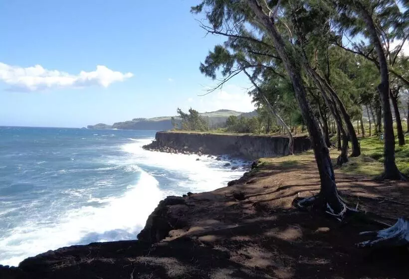 پانسیون L Arbre De Vie