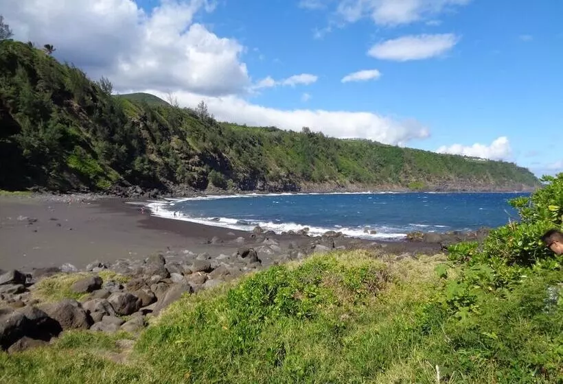 پانسیون L Arbre De Vie