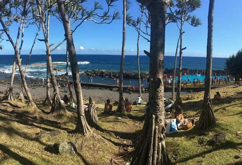 پانسیون L Arbre De Vie