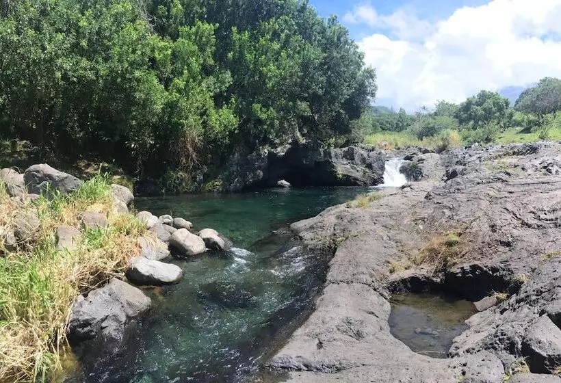 پانسیون L Arbre De Vie