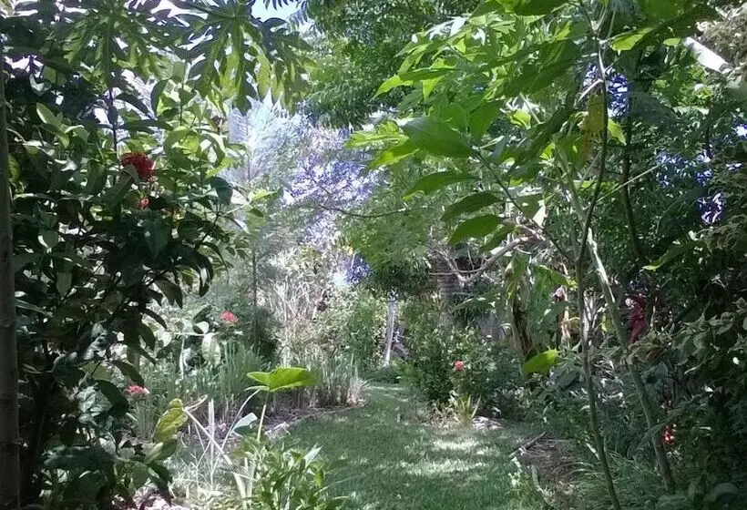 پانسیون L Arbre De Vie