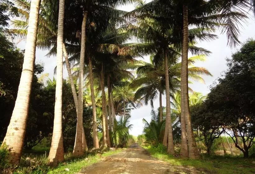 پانسیون L Arbre De Vie