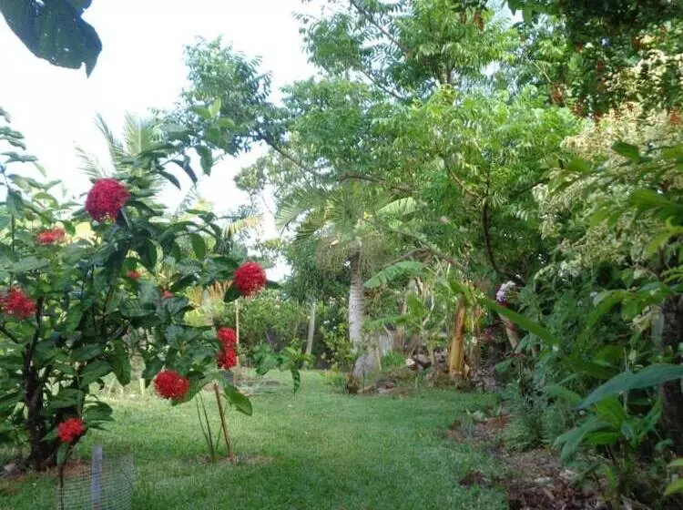 پانسیون L Arbre De Vie