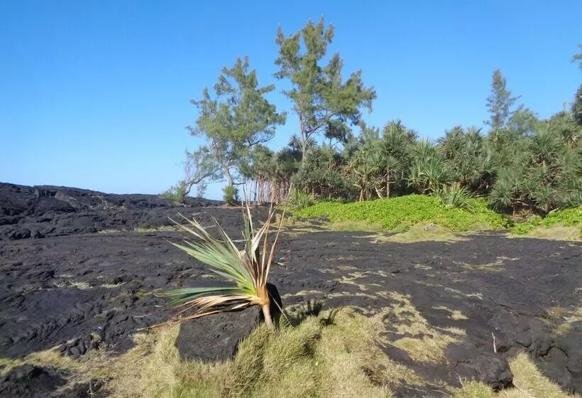 پانسیون L Arbre De Vie