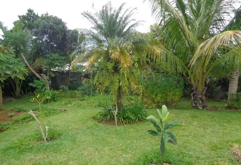 پانسیون L Arbre De Vie