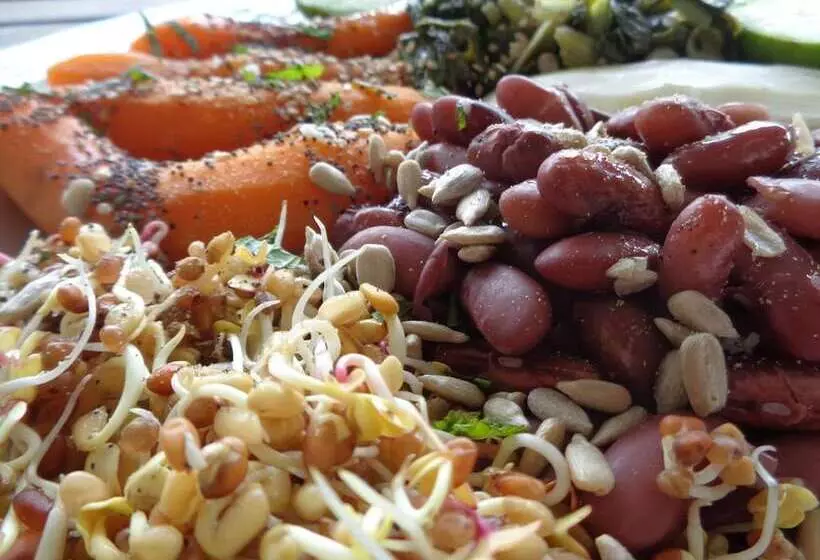 پانسیون L Arbre De Vie