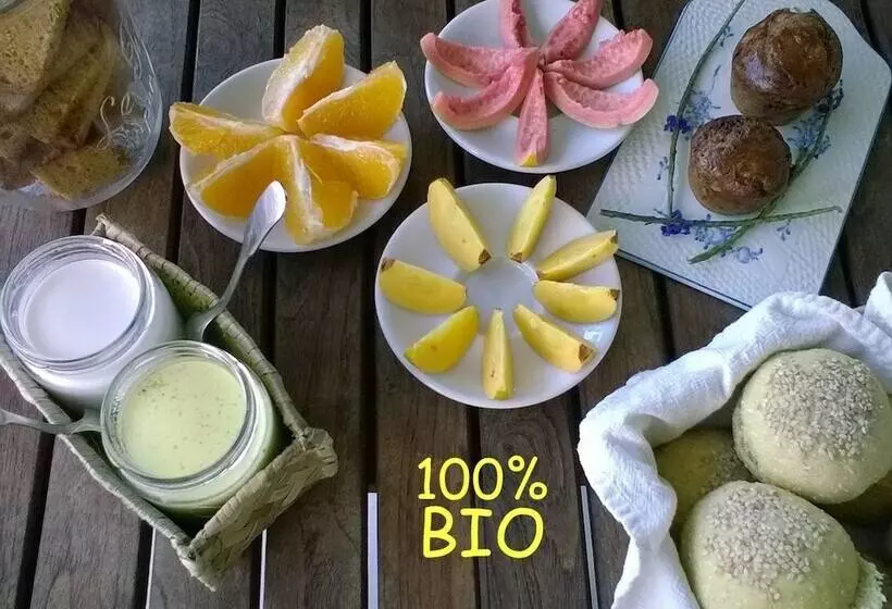 پانسیون L Arbre De Vie