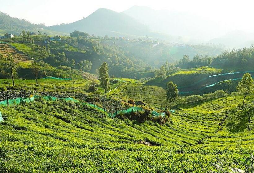 Resort Logan Camp Ooty