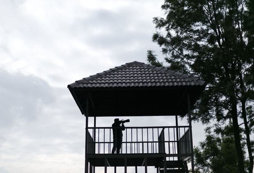 Resort Logan Camp Ooty