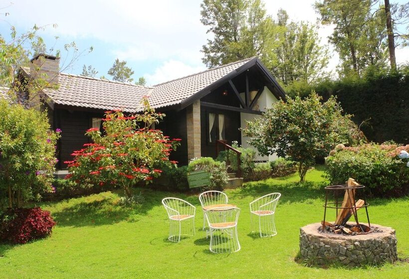 Resort Logan Camp Ooty