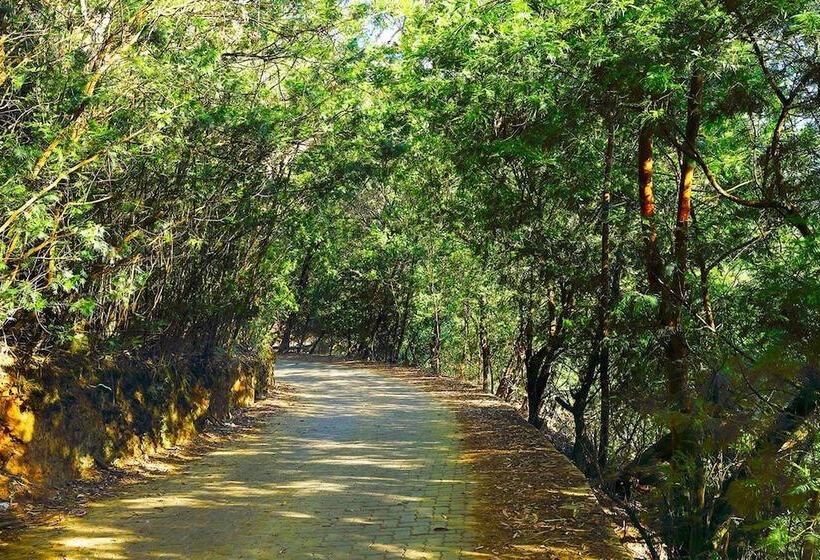 Resort Logan Camp Ooty