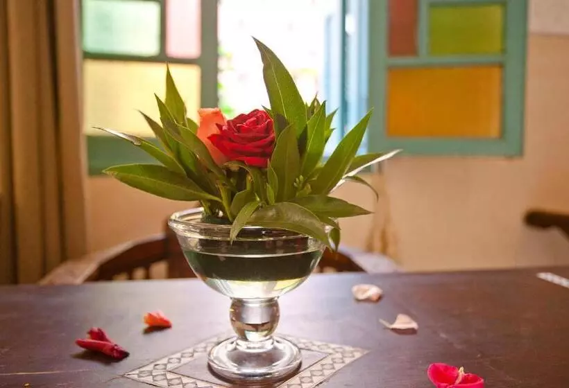Riad Atlas Acacia