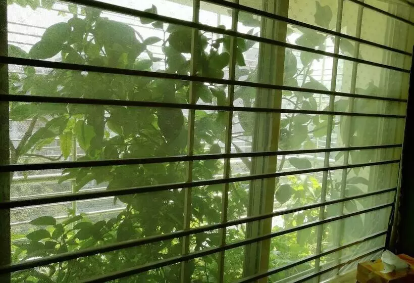 Sabrina S Home   Hostel