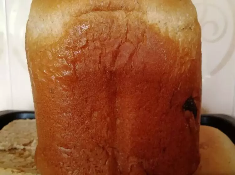 Sabrina S Home   Hostel