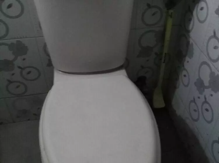 Sabrina S Home   Hostel