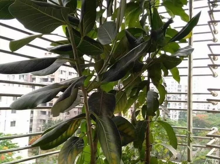 Sabrina S Home   Hostel